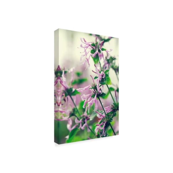 Incredi 'Spring Melody Floral' Canvas Art,30x47